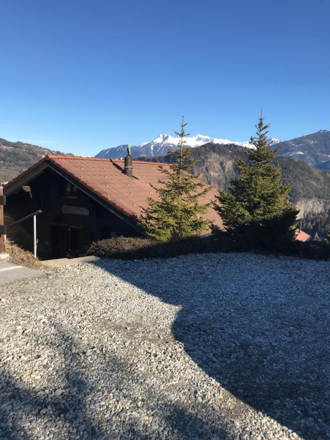 Chalet Siesta Ayent Exteriér fotografie